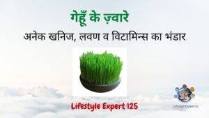 Health benefits of wheat grass therapy 